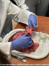 2022.05.24 - Warsztaty anatomiczne